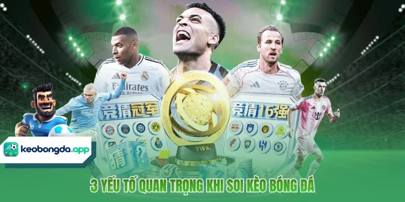 3 yếu tố quan trọng khi soi kèo bóng đá