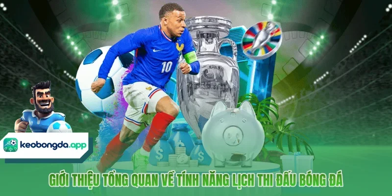 Giới thiệu tổng quan về tính năng lịch thi đấu bóng đá
