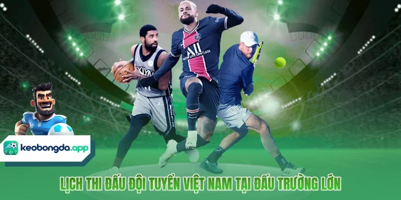 Lịch thi đấu đội tuyển Việt Nam tại đấu trường lớn